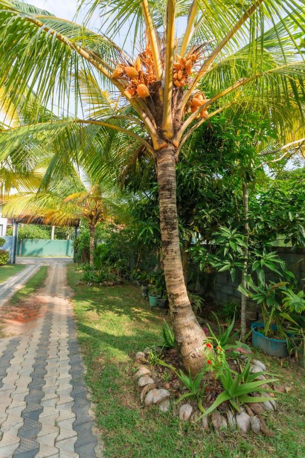 Villa Eco Kings